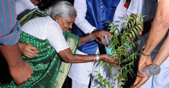 112-Year-Old Environmentalist Saalumarada Thimmakka Proves Death Hoax Wrong, Continues Inspiring Generations with Tree Planting Efforts
