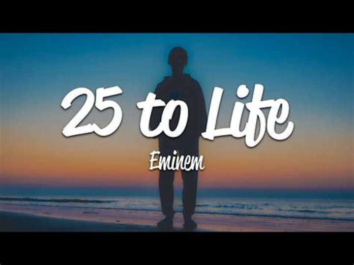 25 to Life Lyrics Meaning
