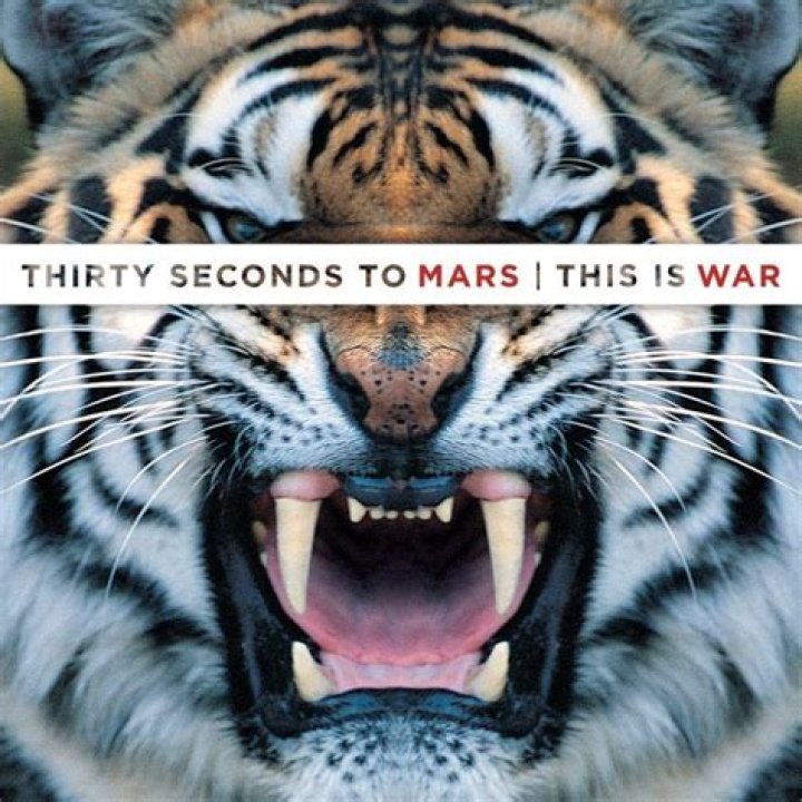 30 Seconds To Mars - This Is War Lyrics Meaning