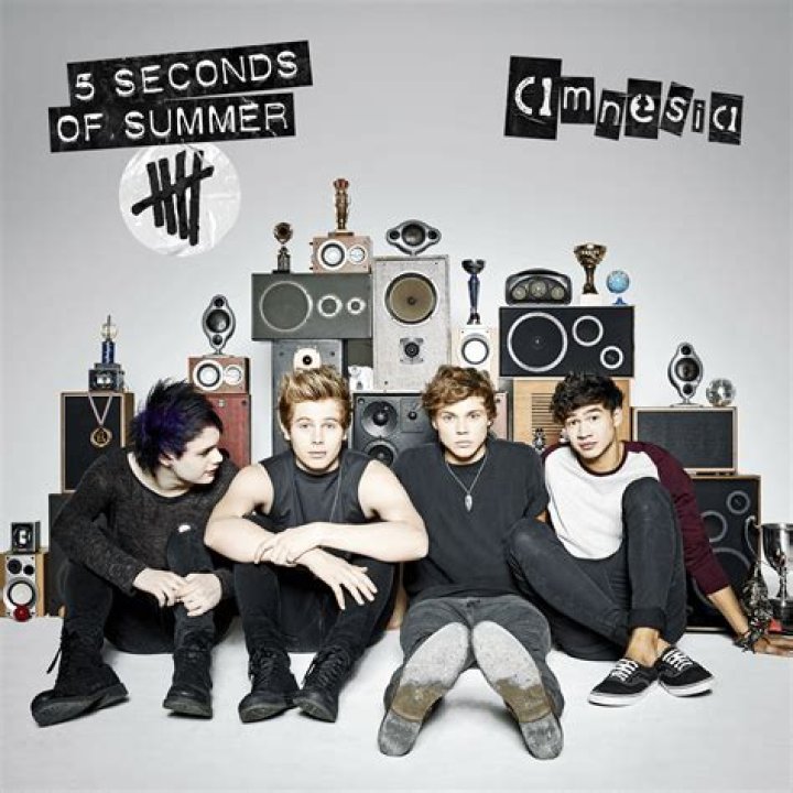 5 Seconds of Summer - Amnesia Lyrics Meaning