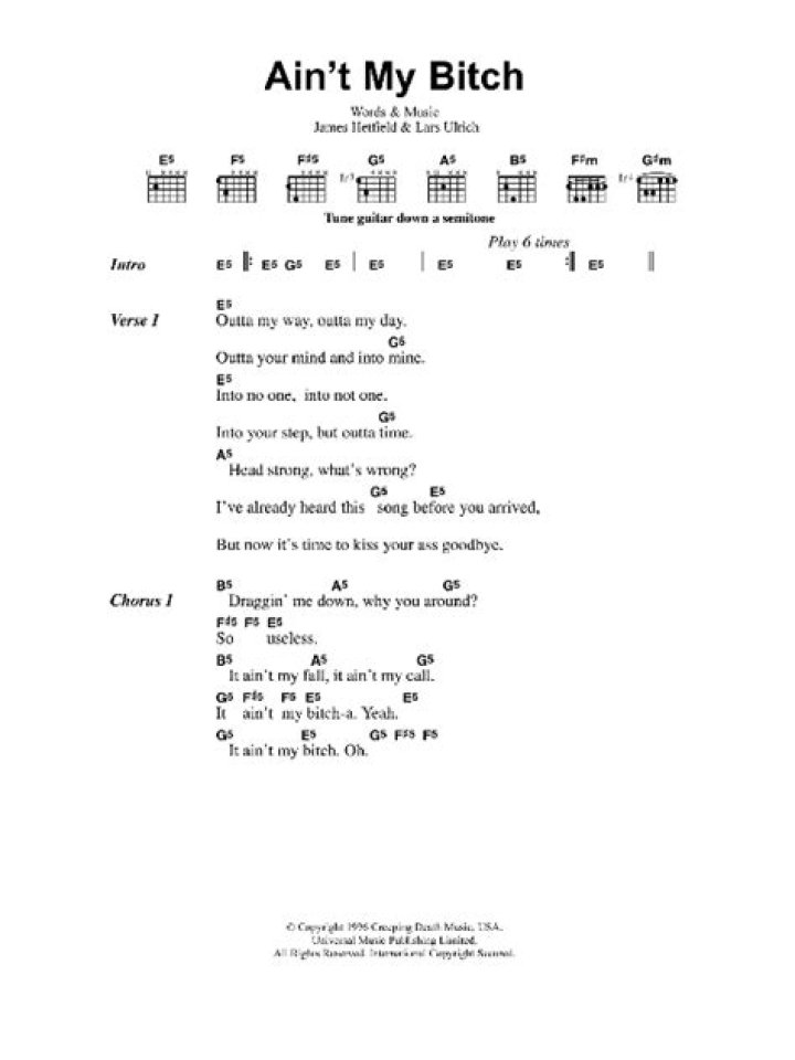 Ain't My Bitch Lyrics Meaning