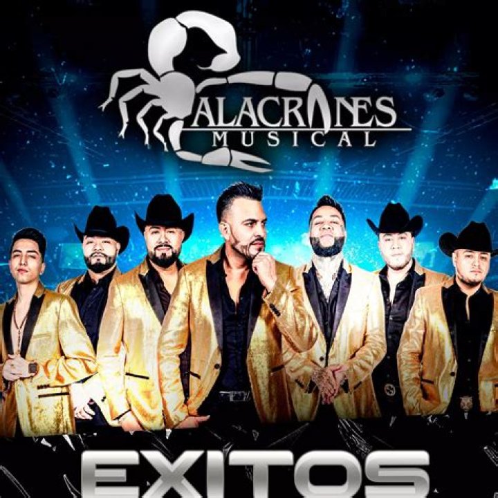 Alacranes Musical El Moro De Tepehuanes Lyrics English Translation