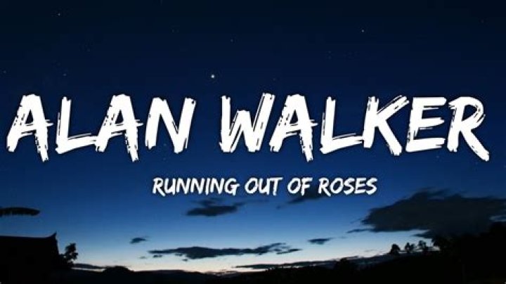 Alan Walker - Running out of Roses Lyrics Meaning