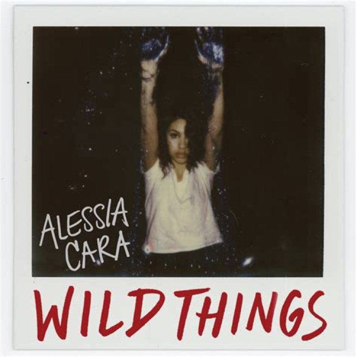 Alessia Cara - Wild Things Lyrics Meaning