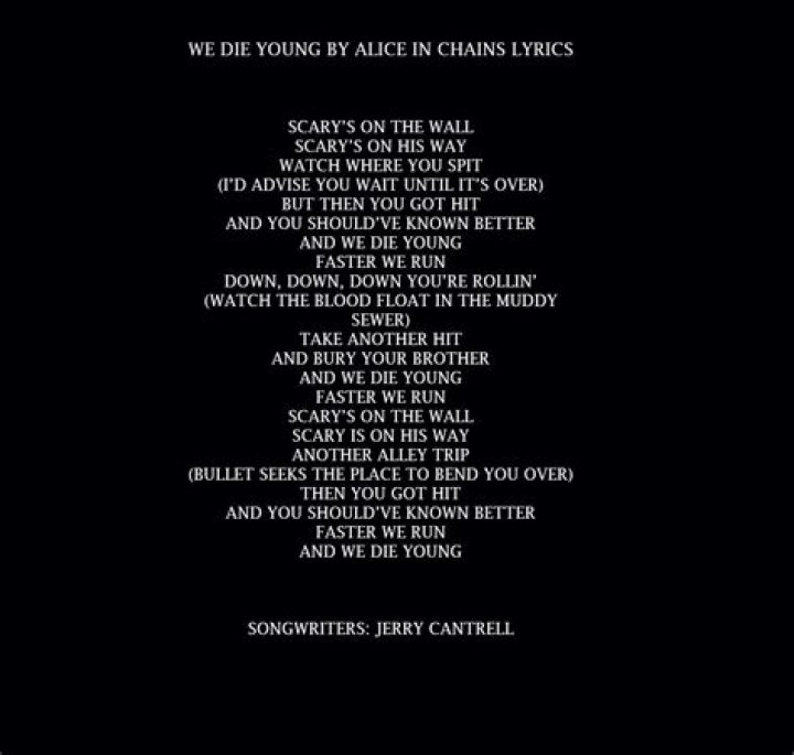 Alice In Chains - We Die Young Lyrics Meaning