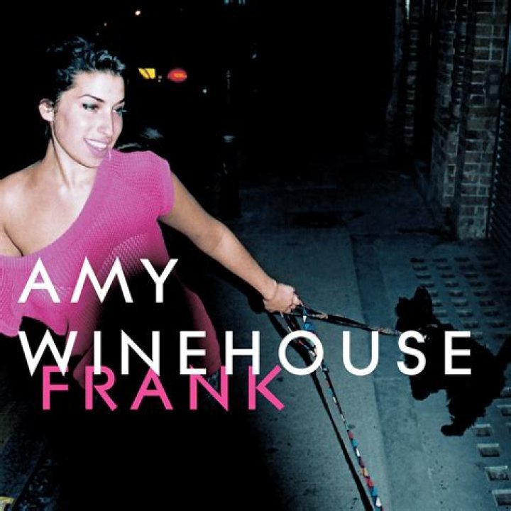 Amy Winehouse - Help Yourself Lyrics Meaning