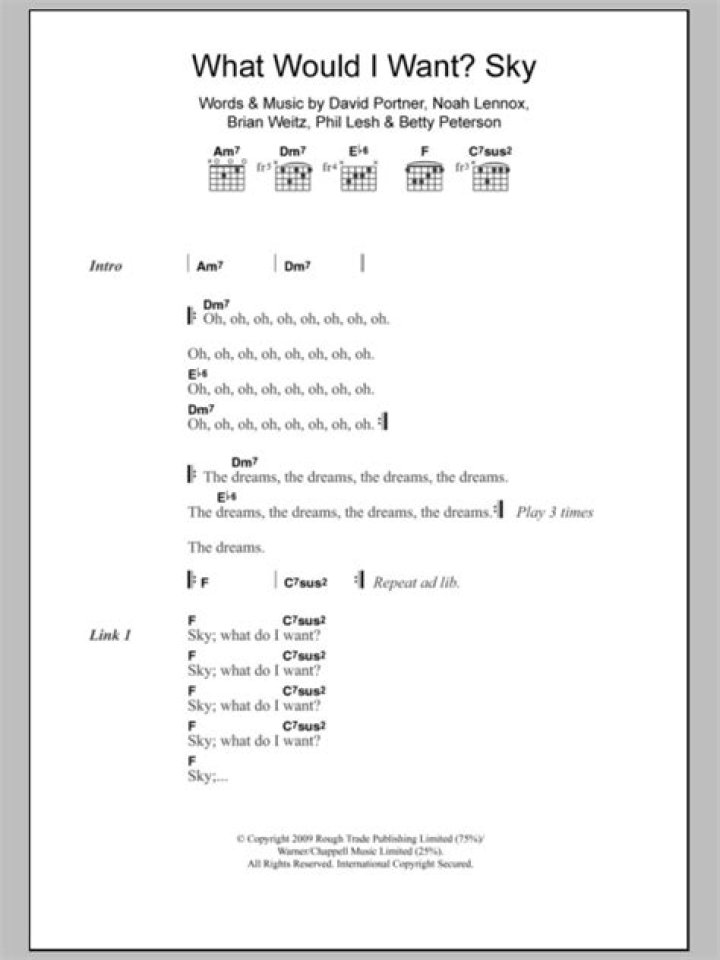 Animal Collective - What Would I Want Sky Lyrics Meaning