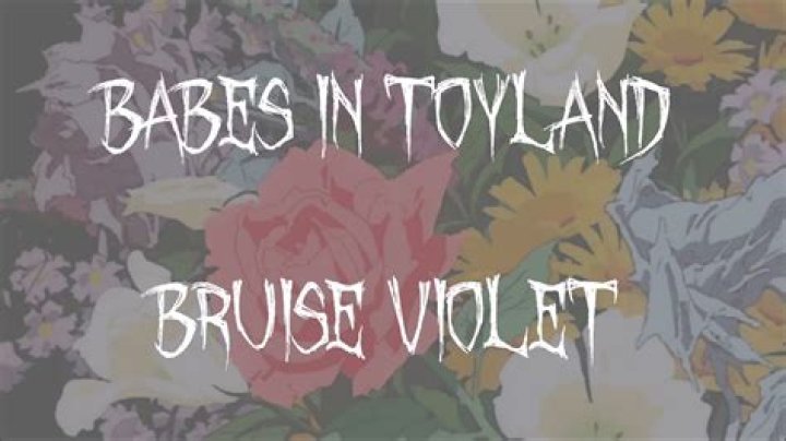 Babes in Toyland - Bruise Violet Lyrics Meaning
