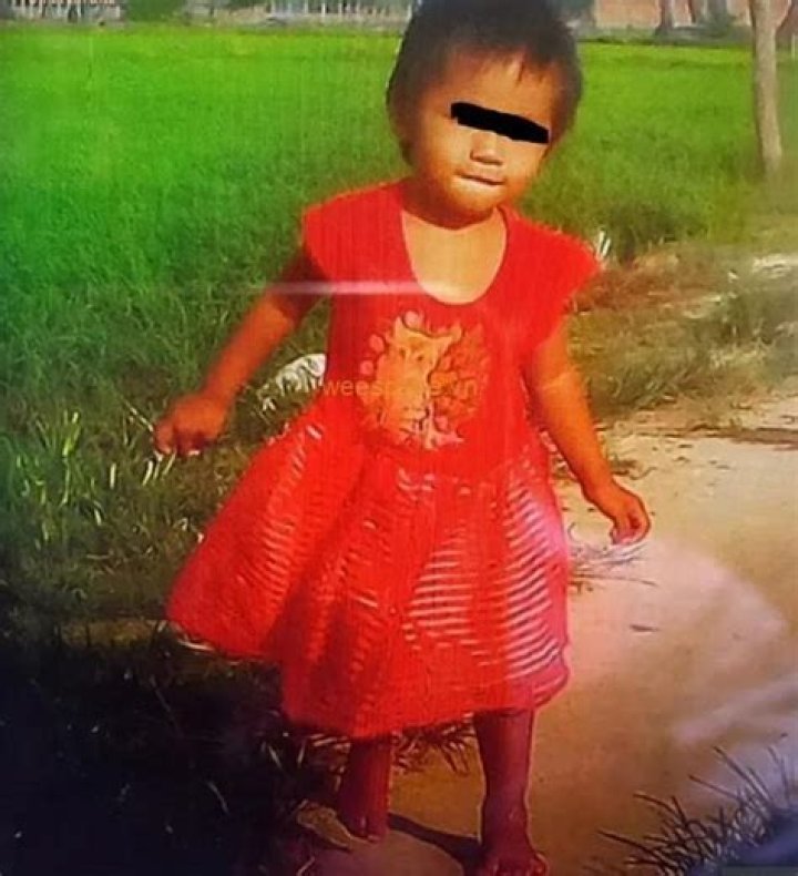 Baby red dress and alligator Video