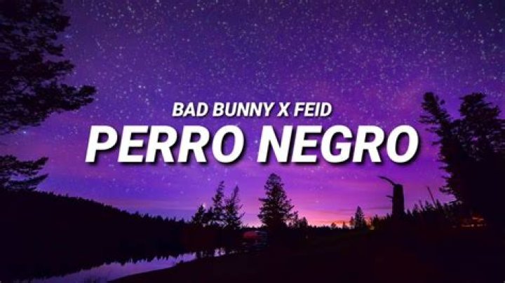 Bad Bunny - PERRO NEGRO