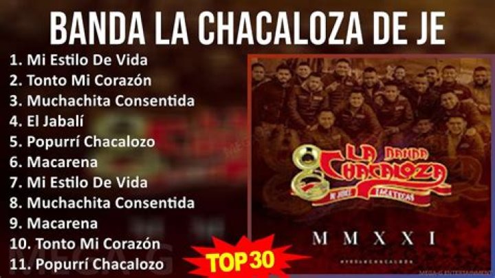 Banda La Chacaloza De Jerez Zacatecas Tonto Mi Corazón Lyrics English Translation