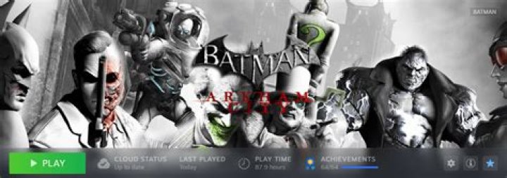 Batman cuz he love robing lyrics