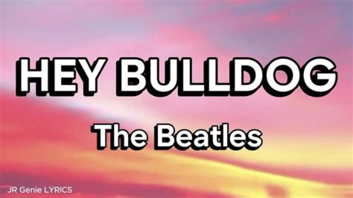 Beatles - Hey Bulldog Lyrics Meaning