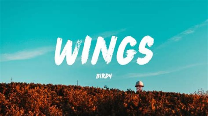 Birdy - Wings Lyrics Meaning