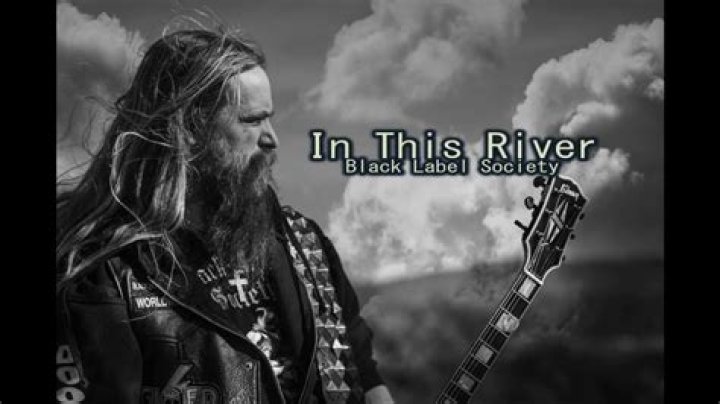 Black Label Society - In This River Lyrics Meaning