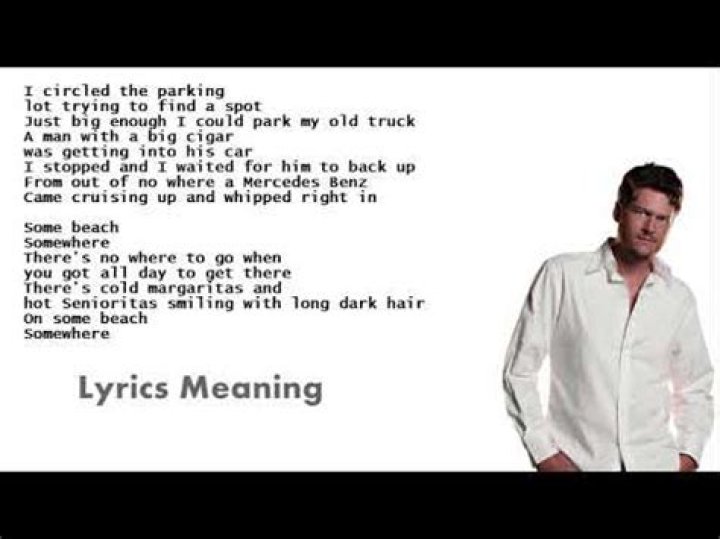 Blake Shelton - Some Beach Lyrics Meaning