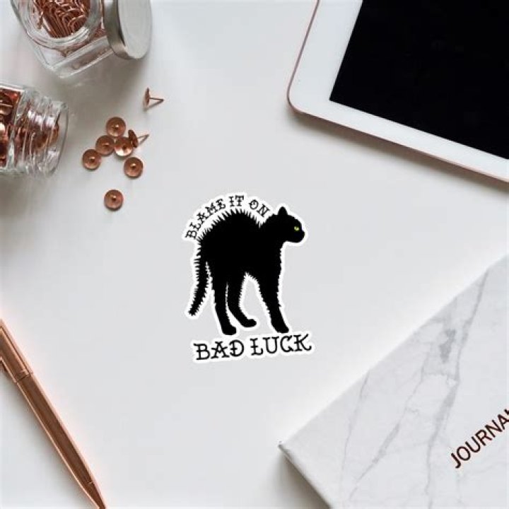 Blame it on Bad Luck Lyrics Meaning