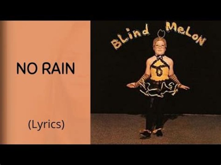 Blind Melon - No Rain Lyrics Meaning