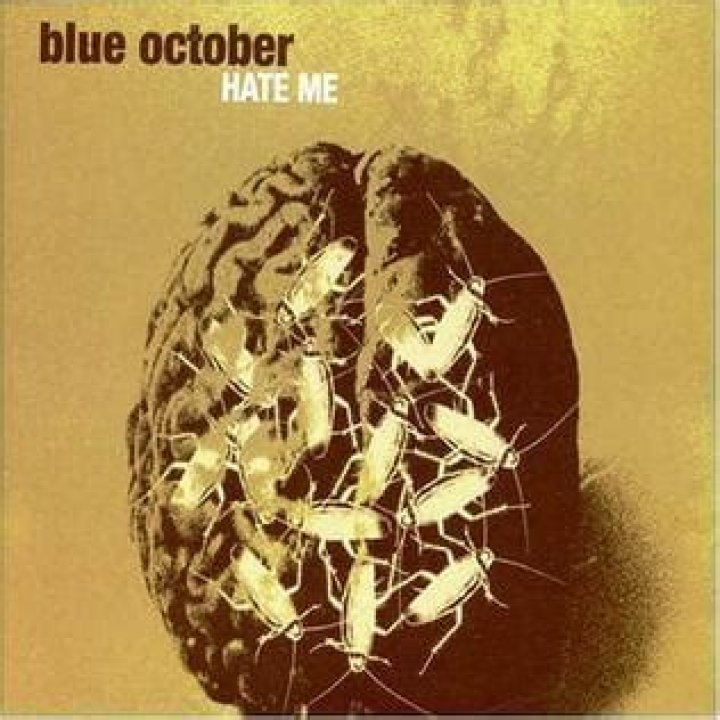 Blue October - Hate Me Lyrics Meaning