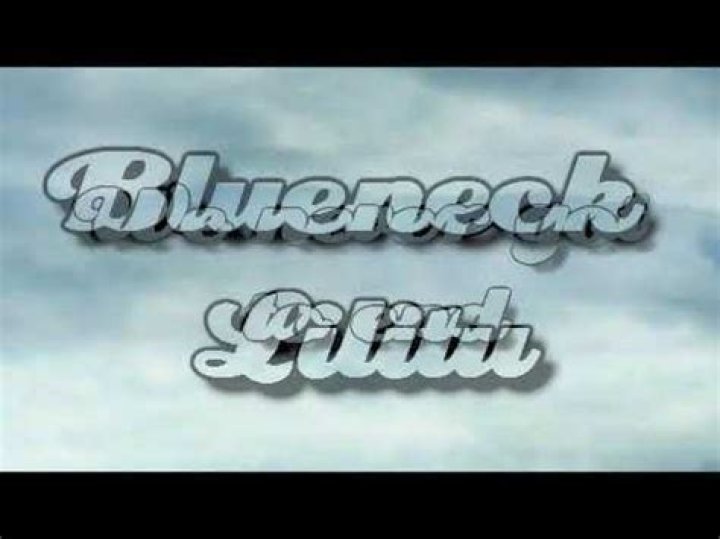 Blueneck lyrics | LyricsMode.com