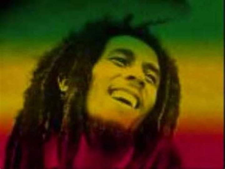 Bob Marley - Smoke Two Joints Lyrics Meaning