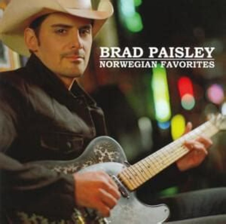 Brad Paisley - Ticks Lyrics Meaning