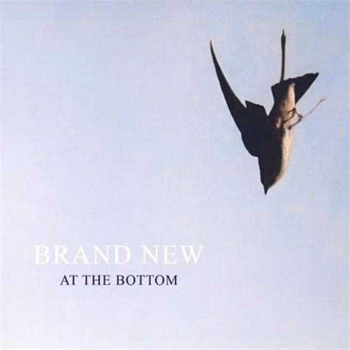 Brand New - At The Bottom Lyrics Meaning