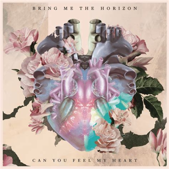 Bring Me the Horizon - Can You Feel My Heart? Lyrics Meaning