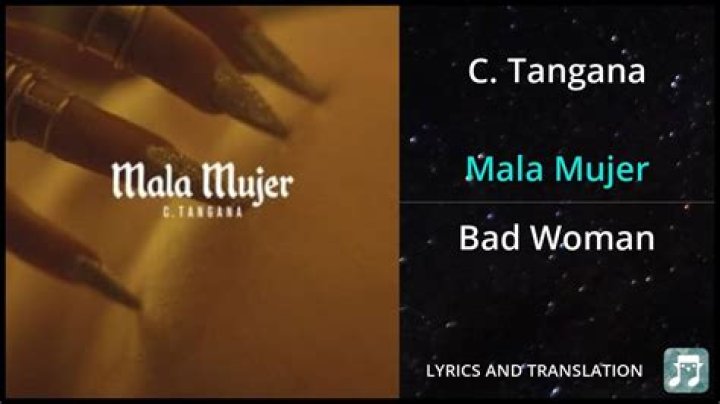 C. Tangana Mala Mujer Lyrics English Translation