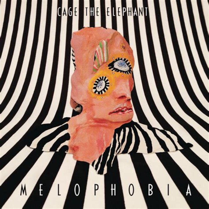 Cage the Elephant - Telescope Lyrics Meaning