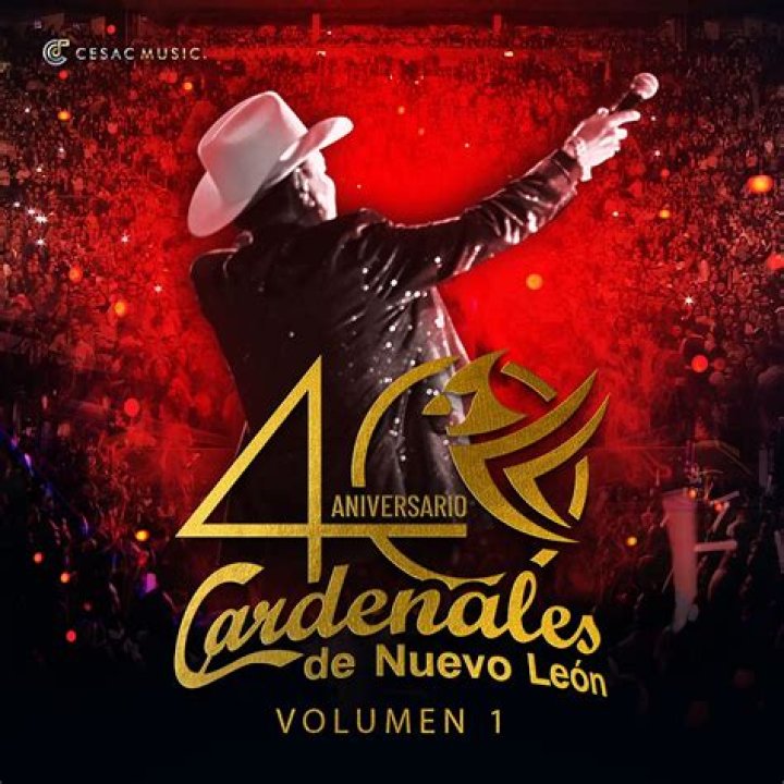 Cardenales de Nuevo Leon Mi Amuleto Eres Tu Lyrics English Translation