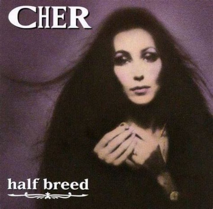 Cher - Half-Breed Lyrics Meaning