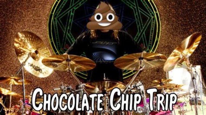 Chocolate Chip Trip Lyrics Meaning