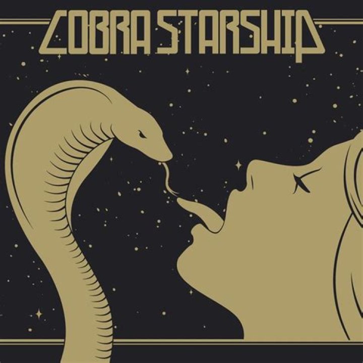 Cobra Starship - Snakes on a Plane (Bring It) Lyrics Meaning