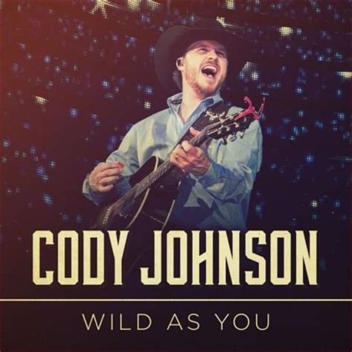Cody Johnson - Wild As You Lyrics Meaning