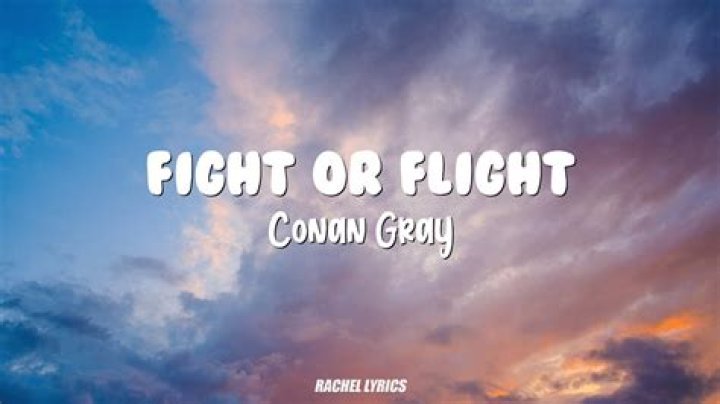 Conan Gray Fight Or Flight Lyrics