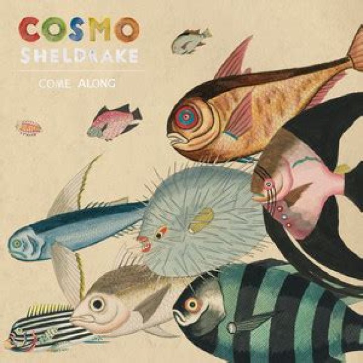 Cosmo Sheldrake - Come Along Lyrics Meaning