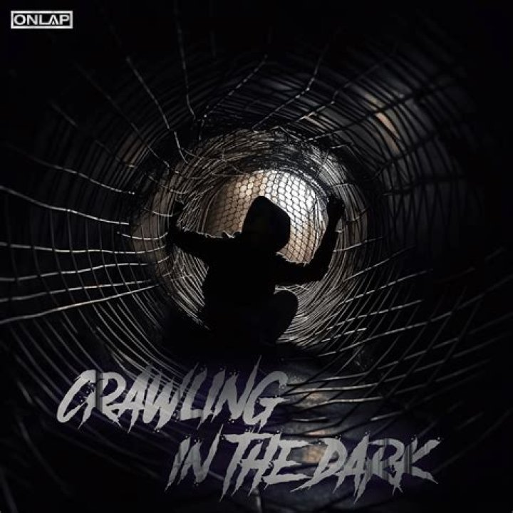 Crawling In The Dark Lyrics Meaning