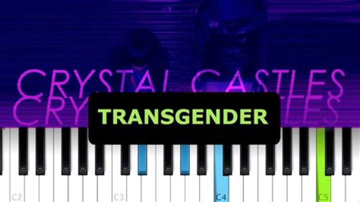 Crystal Castles - Transgender Lyrics Meaning
