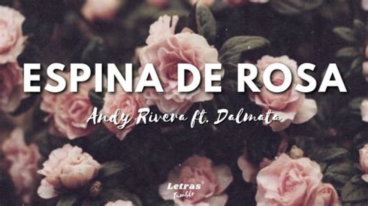 Dalmata Espina de rosa Lyrics English Translation