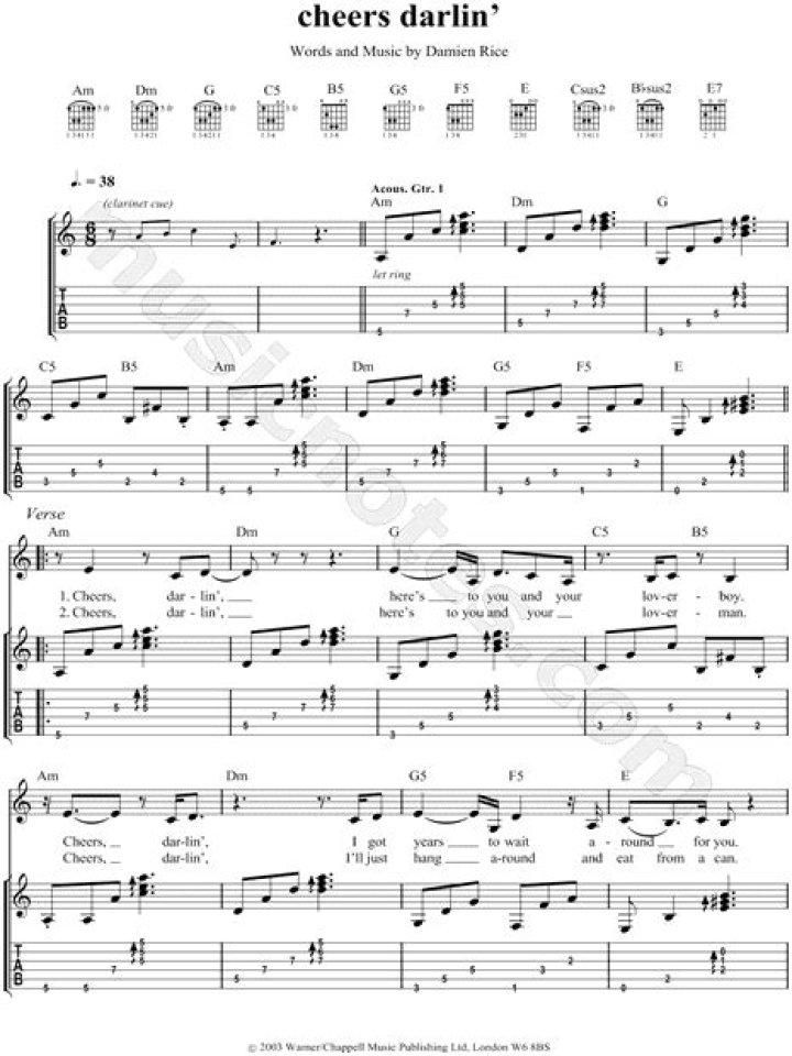 Damien Rice - Cheers Darlin' Lyrics Meaning