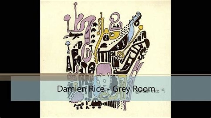 Damien Rice - Grey Room Lyrics Meaning