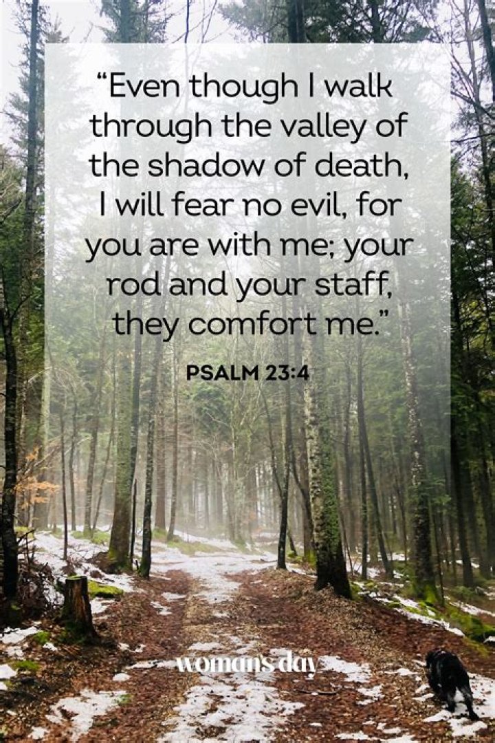 Death News! Preston Loomis Obituary: Clarksville TN Mourns the Loss of a Beloved Community Pillar