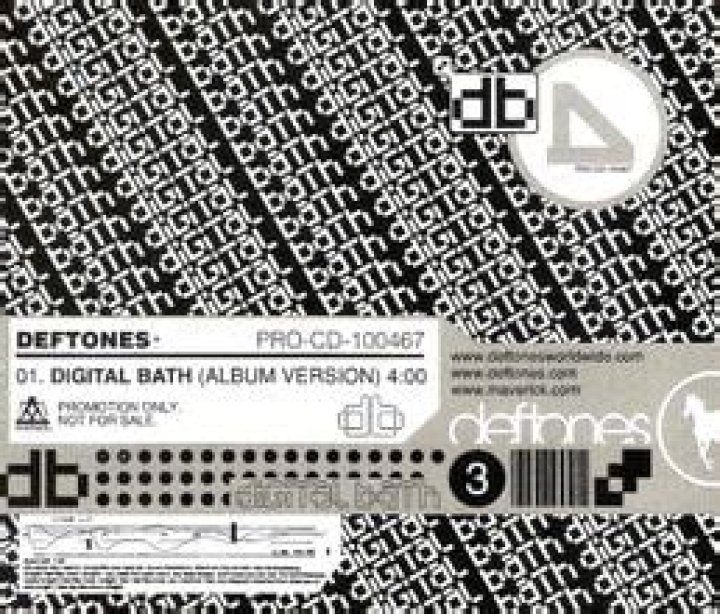Deftones - Digital Bath Lyrics Meaning