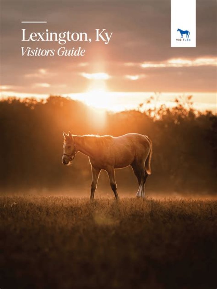 Discover the Best Climbing Gyms in Lexington, KY for Thrilling Adventures