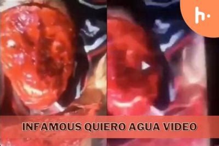 Disturbing Leaked Video from Zacarias Quiero Agua Cartel in Mexico Goes Viral on Twitter: Watch the Shocking Footage Now