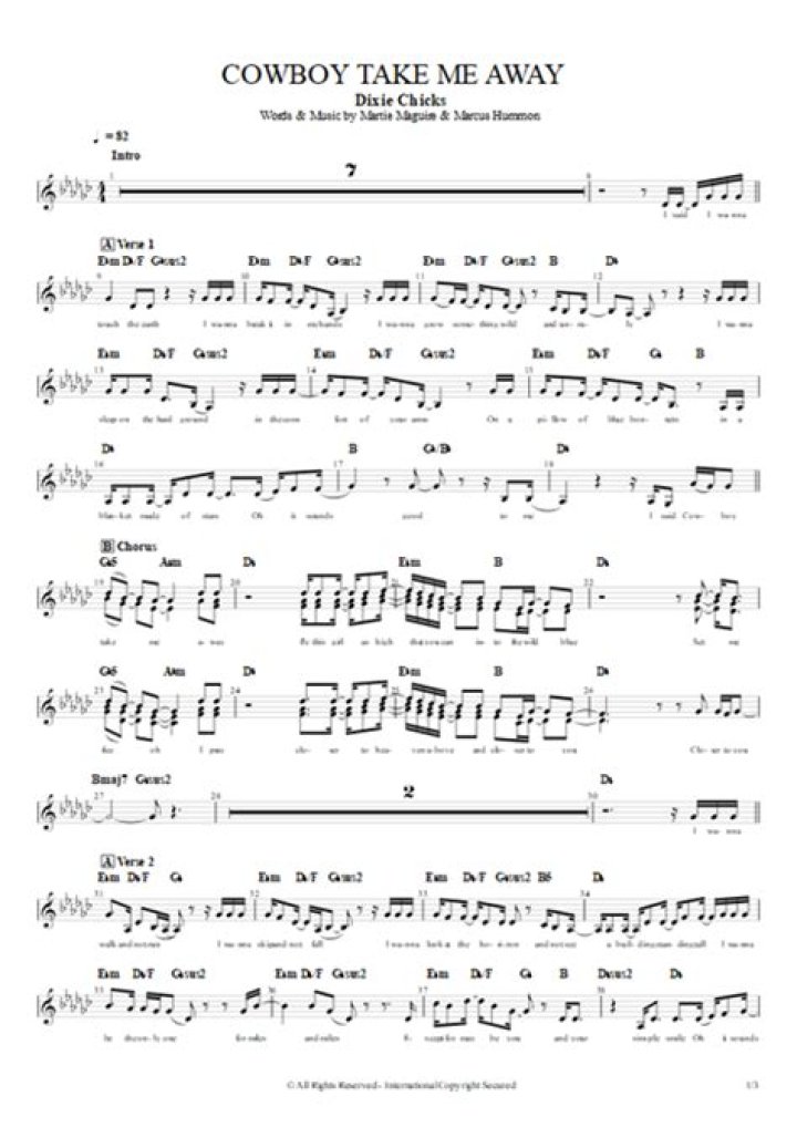 Dixie Chicks - Cowboy Take Me Away Lyrics Meaning