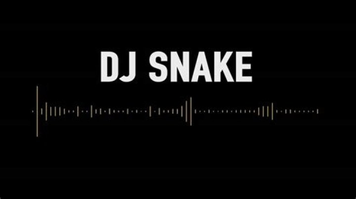 DJ Snake - Middle Lyrics Meaning