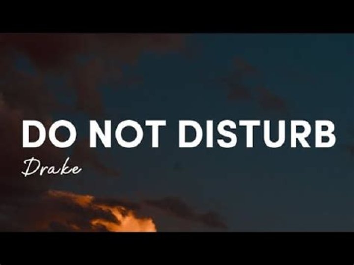 Do Not Disturb Lyrics Meaning