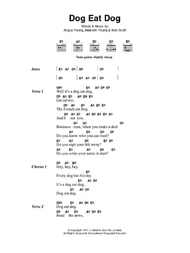 Dog Eat Dog Lyrics Meaning